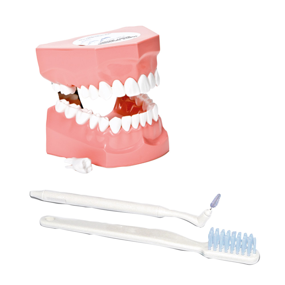 Interdentalbürsten P3-IDB St