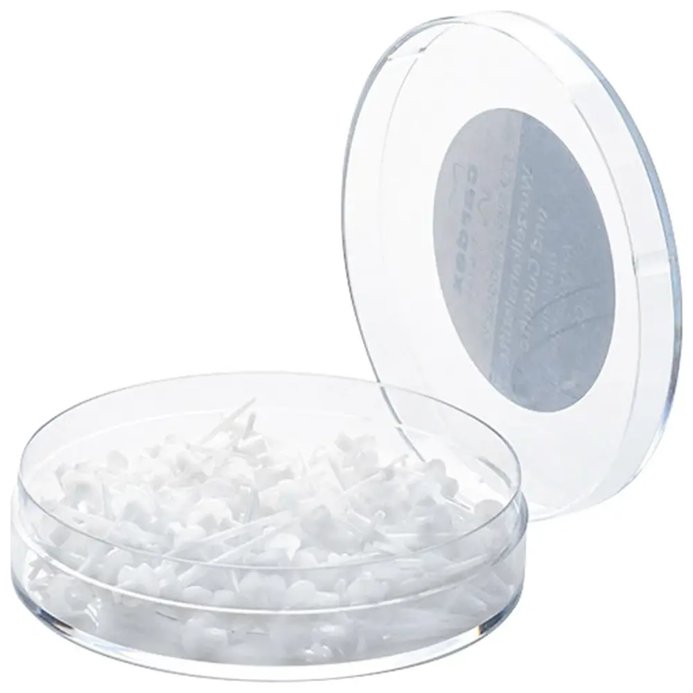 Cardex Dental Gussstifte - Packung 100 Stück