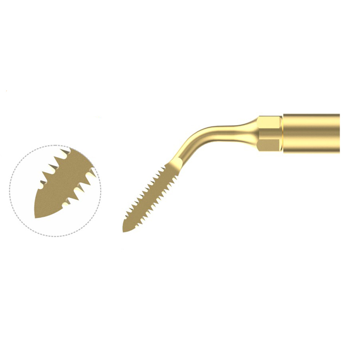 Xpedent Ultraschallspitze NINJA (passend für den Einsatz mit MECTRON® Extraktion Geräten)