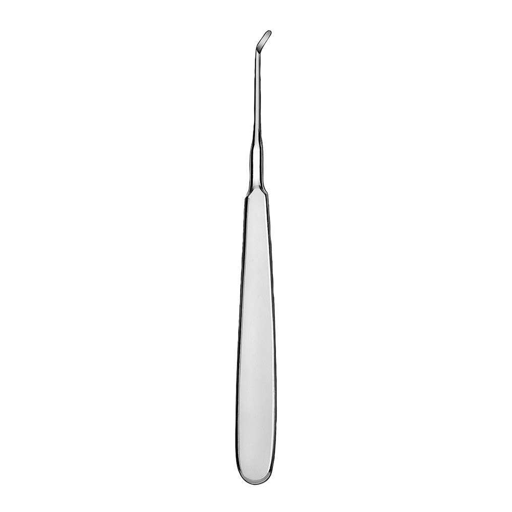 Wurzelheber Warwick-James Gr.2 St