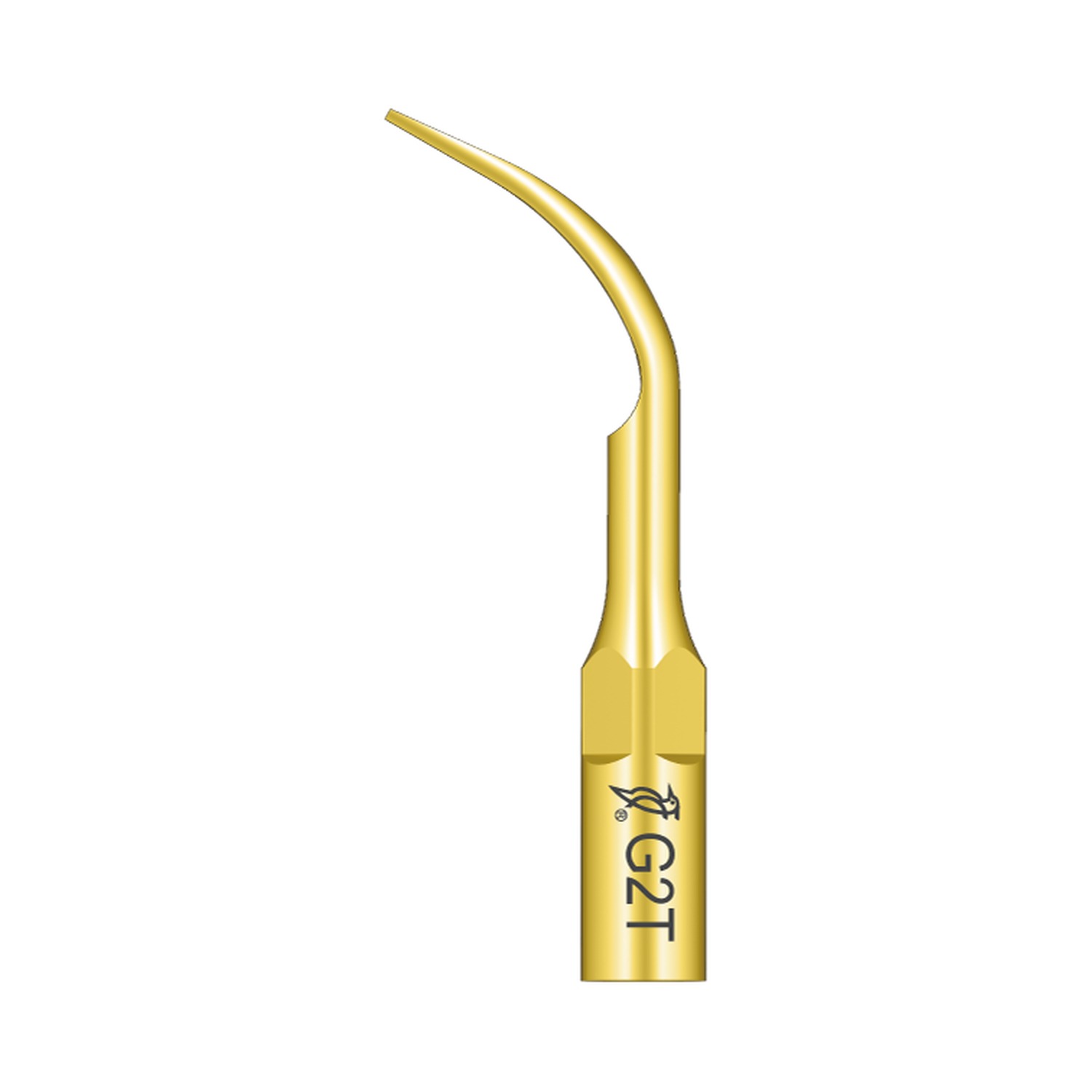 Woodpecker Ultraschallspitze G2T passend für den Einsatz mit EMS®