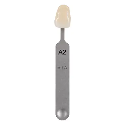VITA Zahnfabrik H. Rauter GmbH & Co. KG VITA classical Farbmusterstäbchen A2 St
