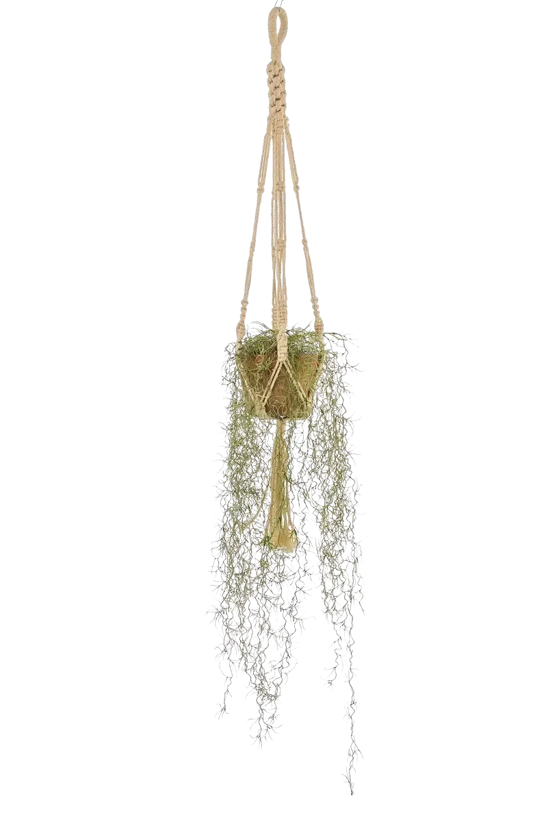 Künstliche Tillandsie - Harry | 95 cm, im Topf