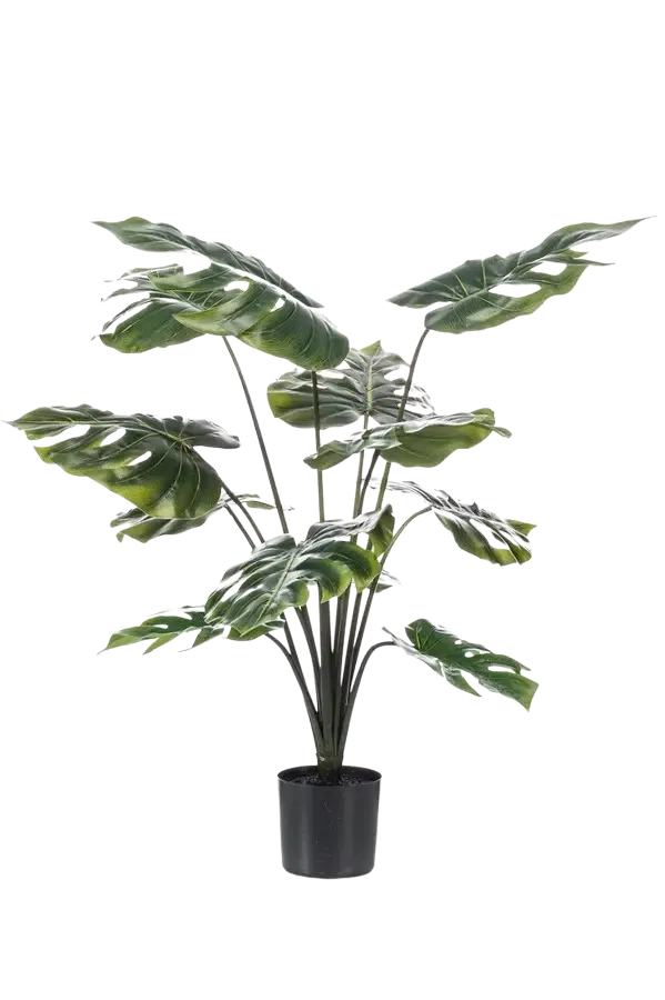 Künstliche Monstera - Karl | 80 cm