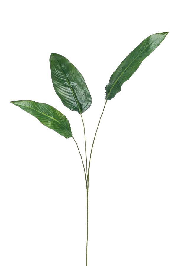 Strelitzia leaf spray x3 135cm
