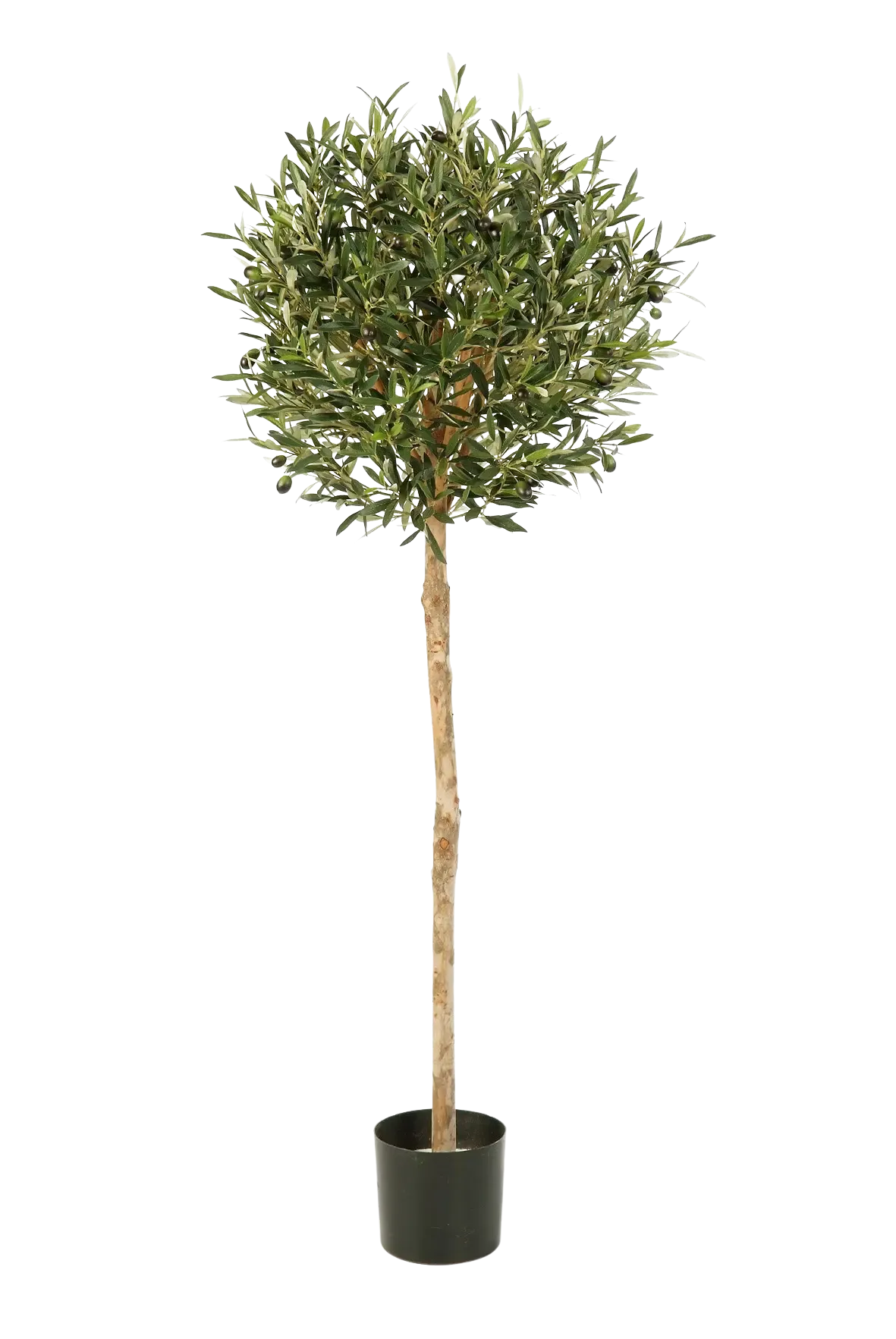 aplanta-27705N_aplantaKuenstlicher_Olivenbaum__Isa__140_cm Künstlicher Olivenbaum - Isa | 140 cm