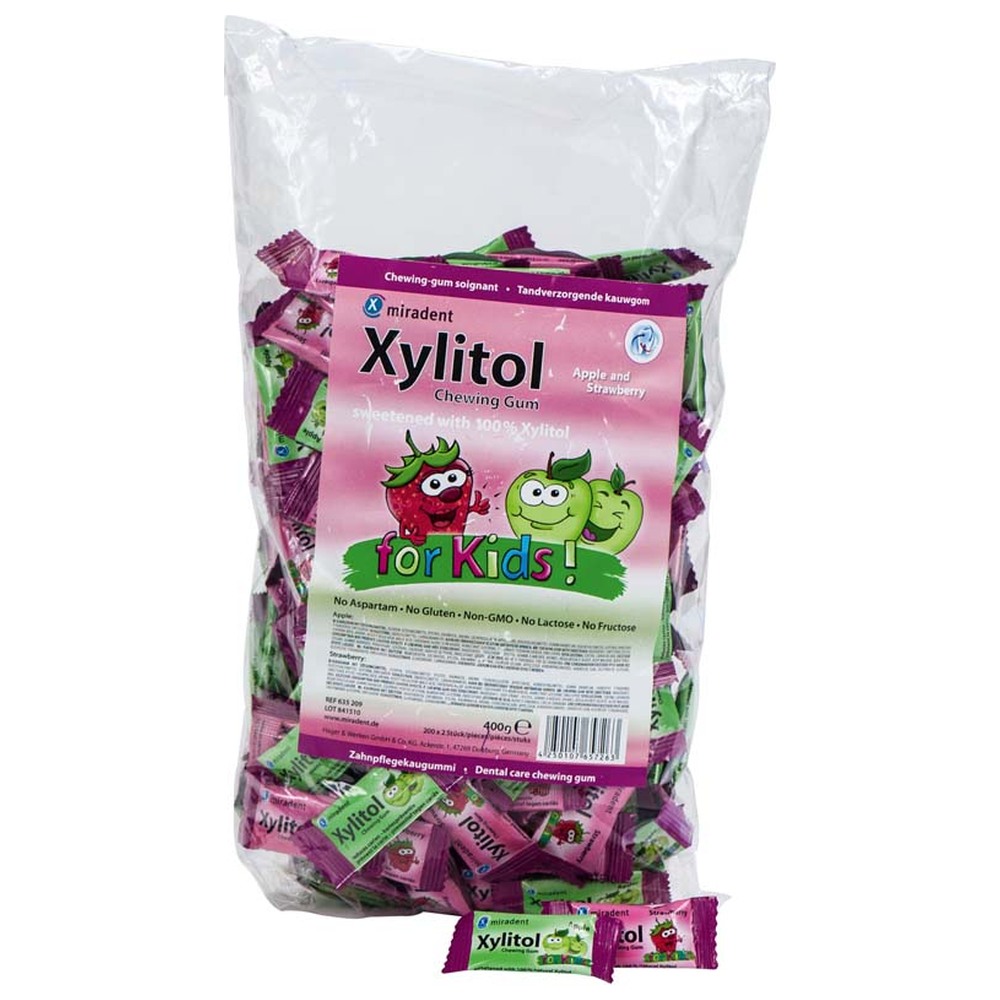 Hager & Werken Xylitol Chewing Gum - Musterbeutel 2 x 200 Sachets x 2 Stück (Apfel, Erdbeere)