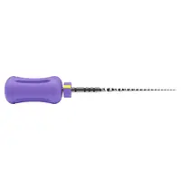 MAILLEFER INSTRUMENTS HOLDING Sàrl ProTaper Ultimate Handfeile Slider 25mm Pa 6