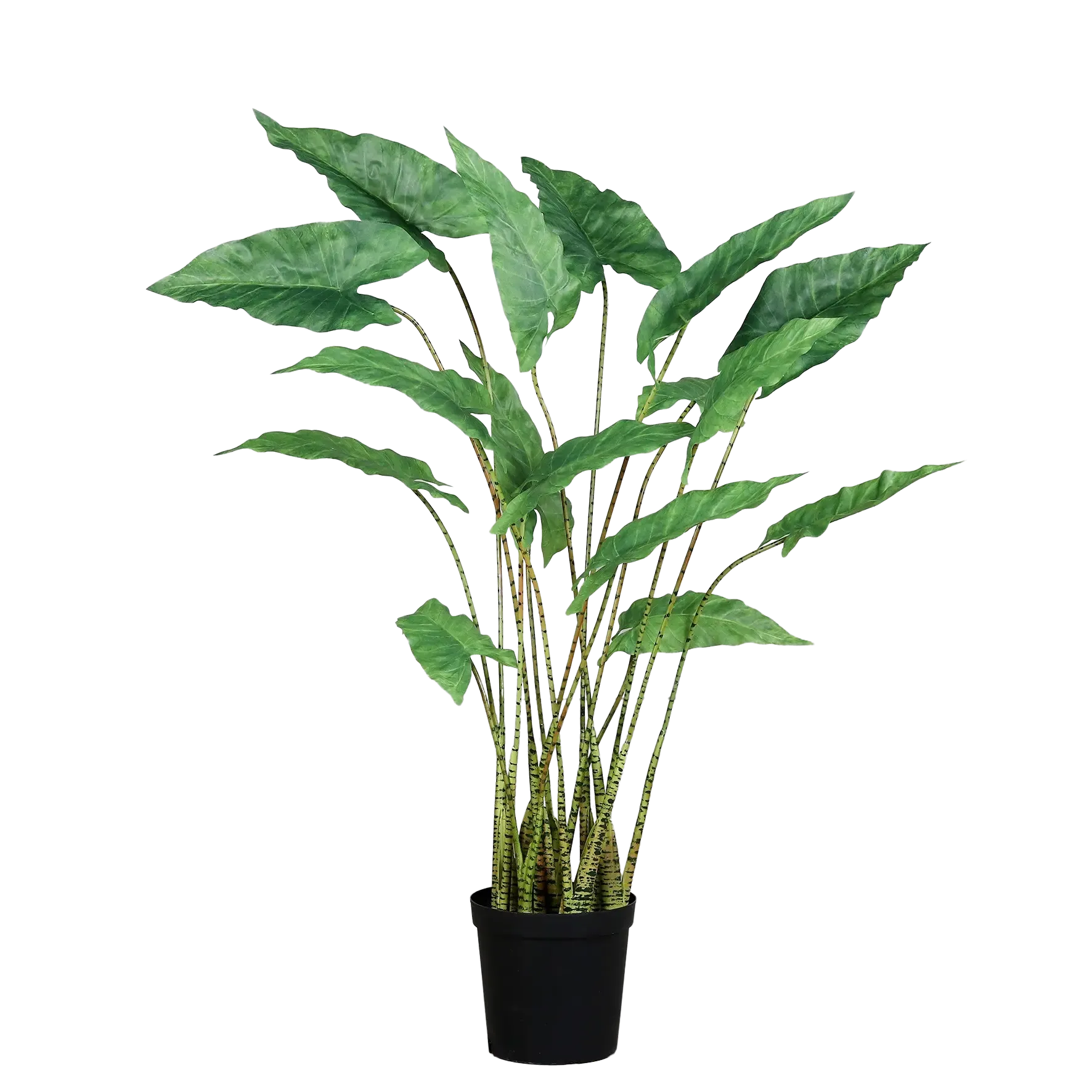 Künstliche Alocasia - Diego | Real Touch | 94 cm