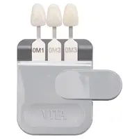 VITA Zahnfabrik H. Rauter GmbH & Co. KG VITA Bleached Shades Farbstäbchen f. Farbbskala Nachrüst- Set VITA Zahnfabrik H. Rauter GmbH & Co. KG VITA Bleached Shades Farbstäbchen f. Farbbskala Nachrüst- Set