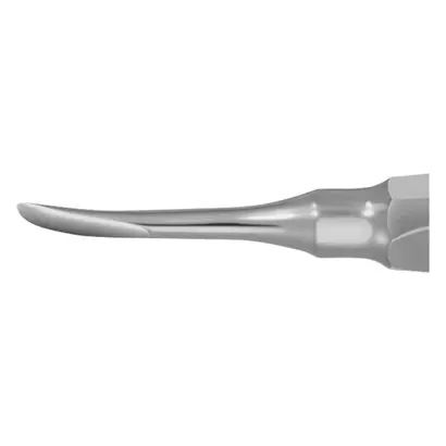 Aesculap AG Wurzelheber gebogen 2,5mm Fig.5C DL371R St
