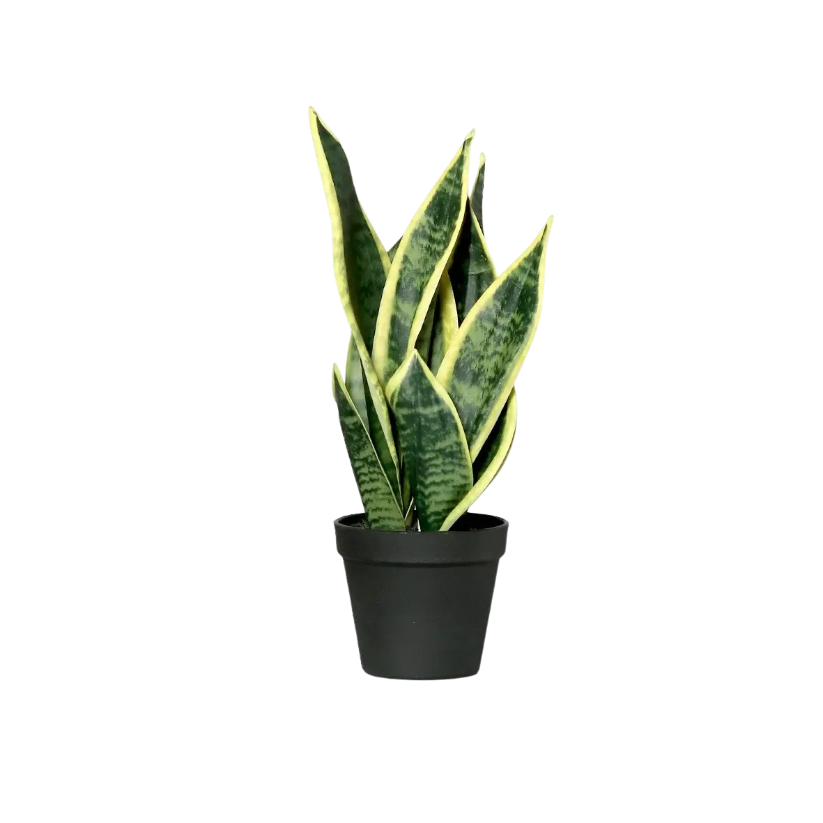 aplanta-57204-2_aplantaKuenstliche_Sanseveria__Ares__40_cm Künstliche Sanseveria - Ares | 40 cm