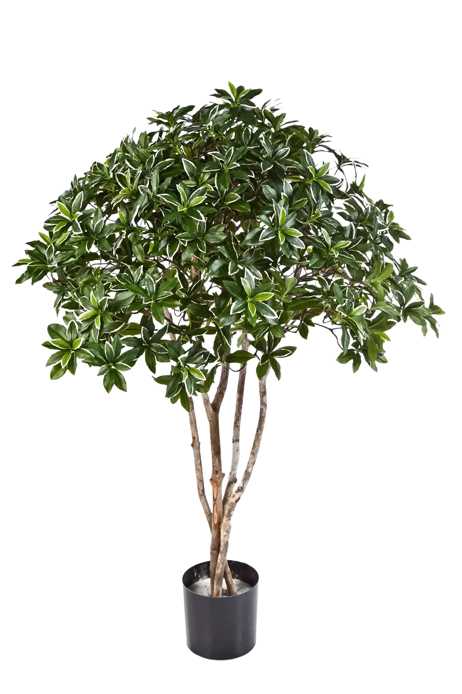 Künstlicher japanischer Spindelstrauch - Wanda | 120 cm | aplanta-52604N