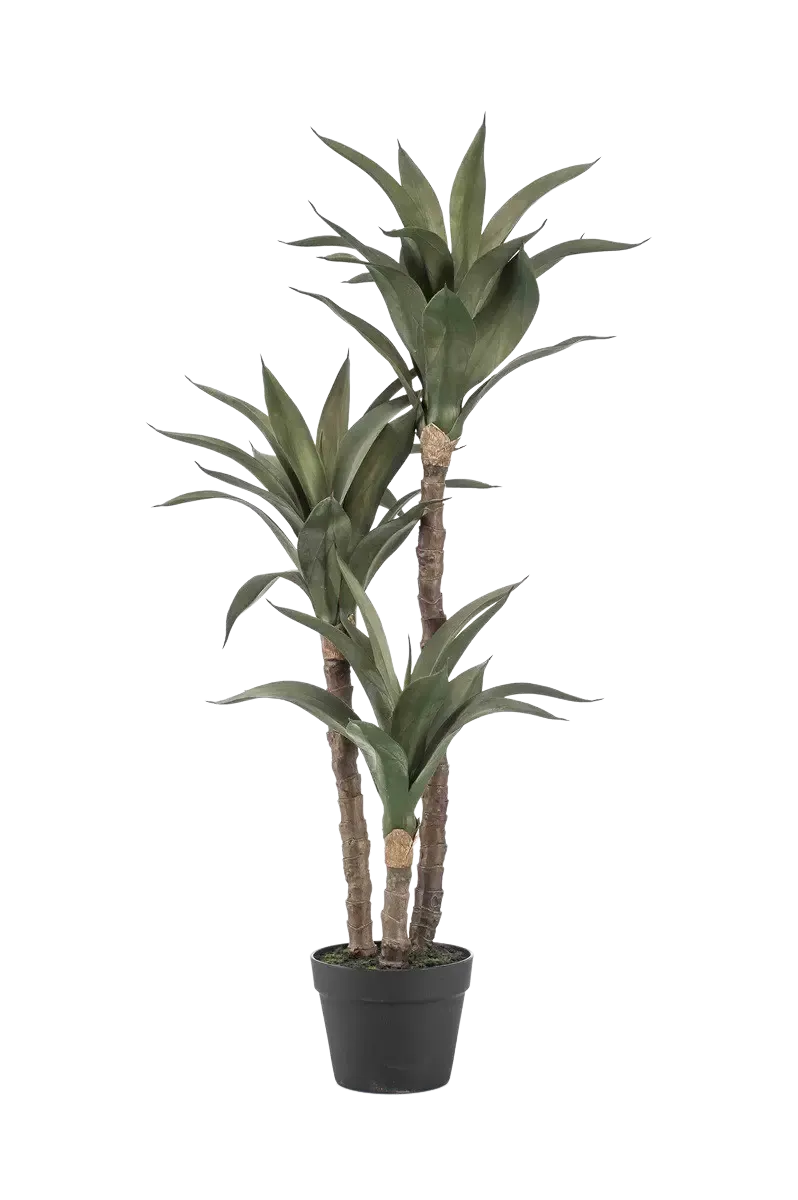 Künstliche Agave - Pepe | 100 cm