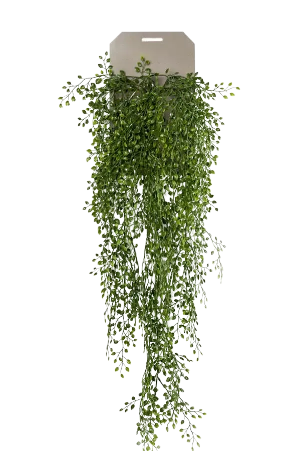 Künstlicher Hänge-Jasmin - Levin | 80 cm