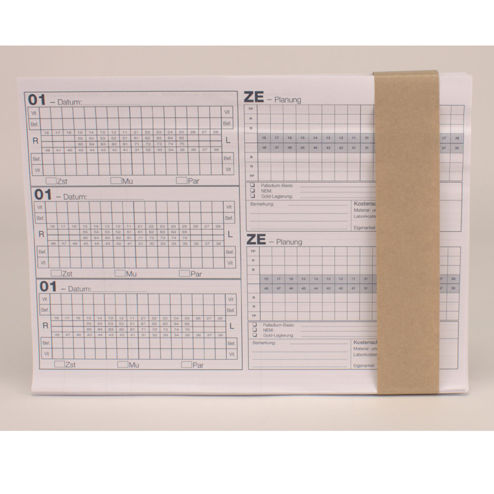 Einlegeblatt Typ A Bema/01Bef. 100St