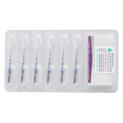 FKG Dentaire SA FKG BioRaCe BR3 NiTi Feilen 6% ISO025 25mm Pa 6