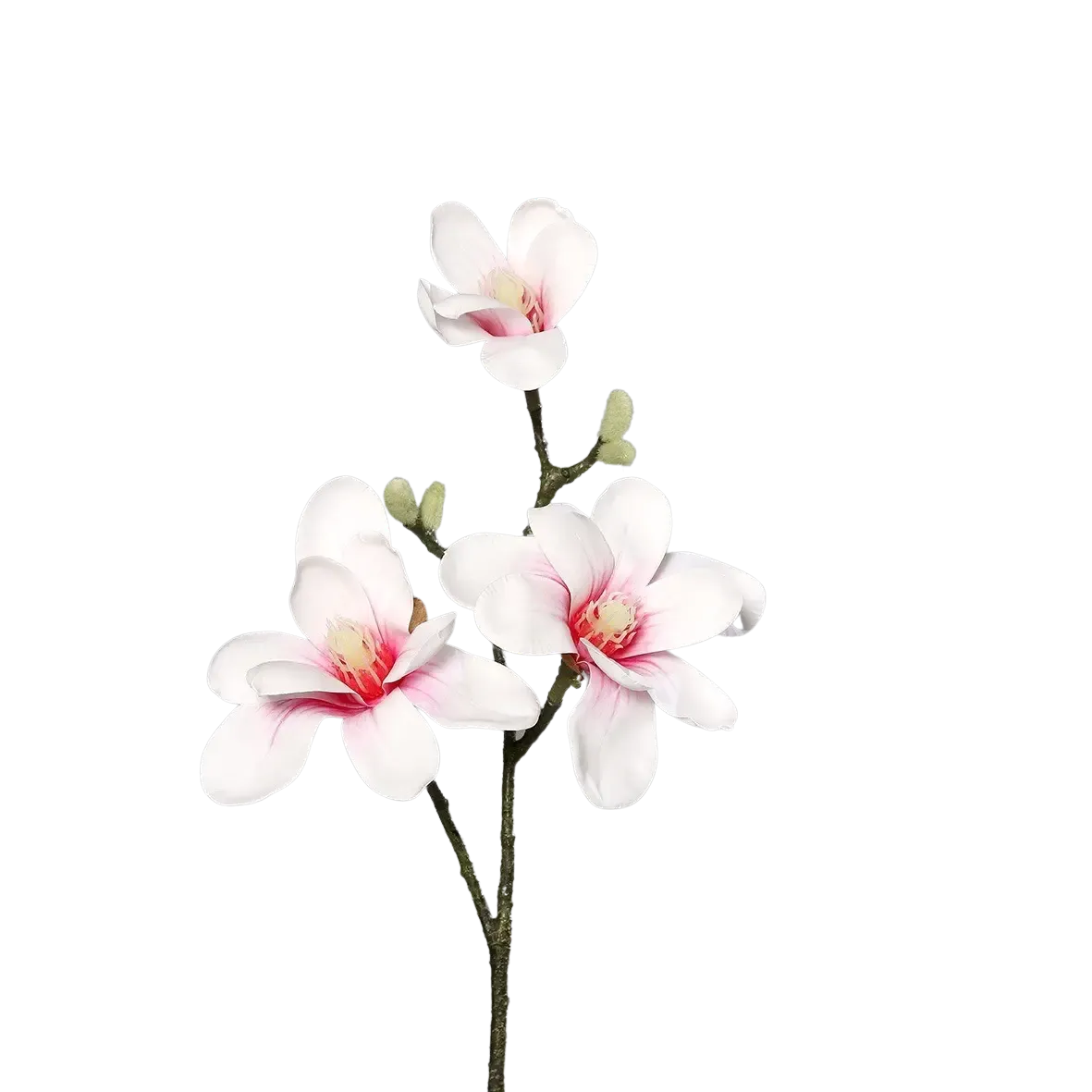 Künstliche Magnolien - Irmgard | 40 cm