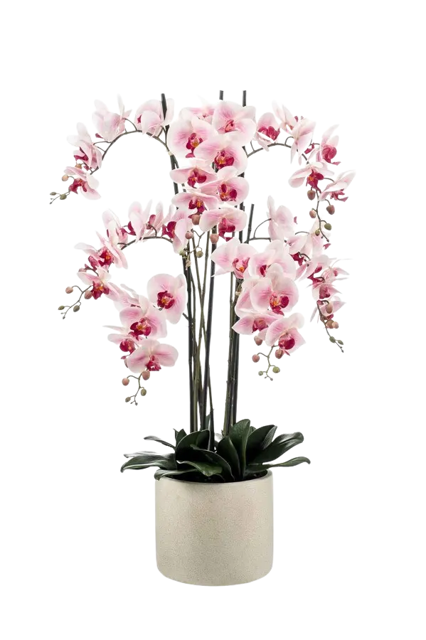 425613_Kuenstliche_Orchidee__Leo__100_cm Künstliche Orchidee - Leo | 100 cm