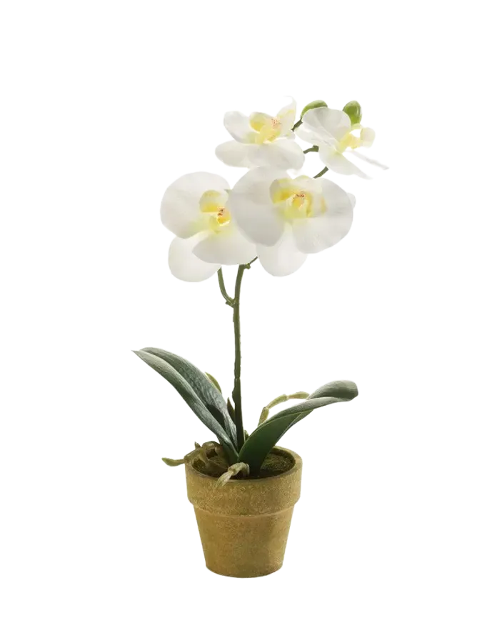 Künstliche Orchidee - Louisa | 25 cm