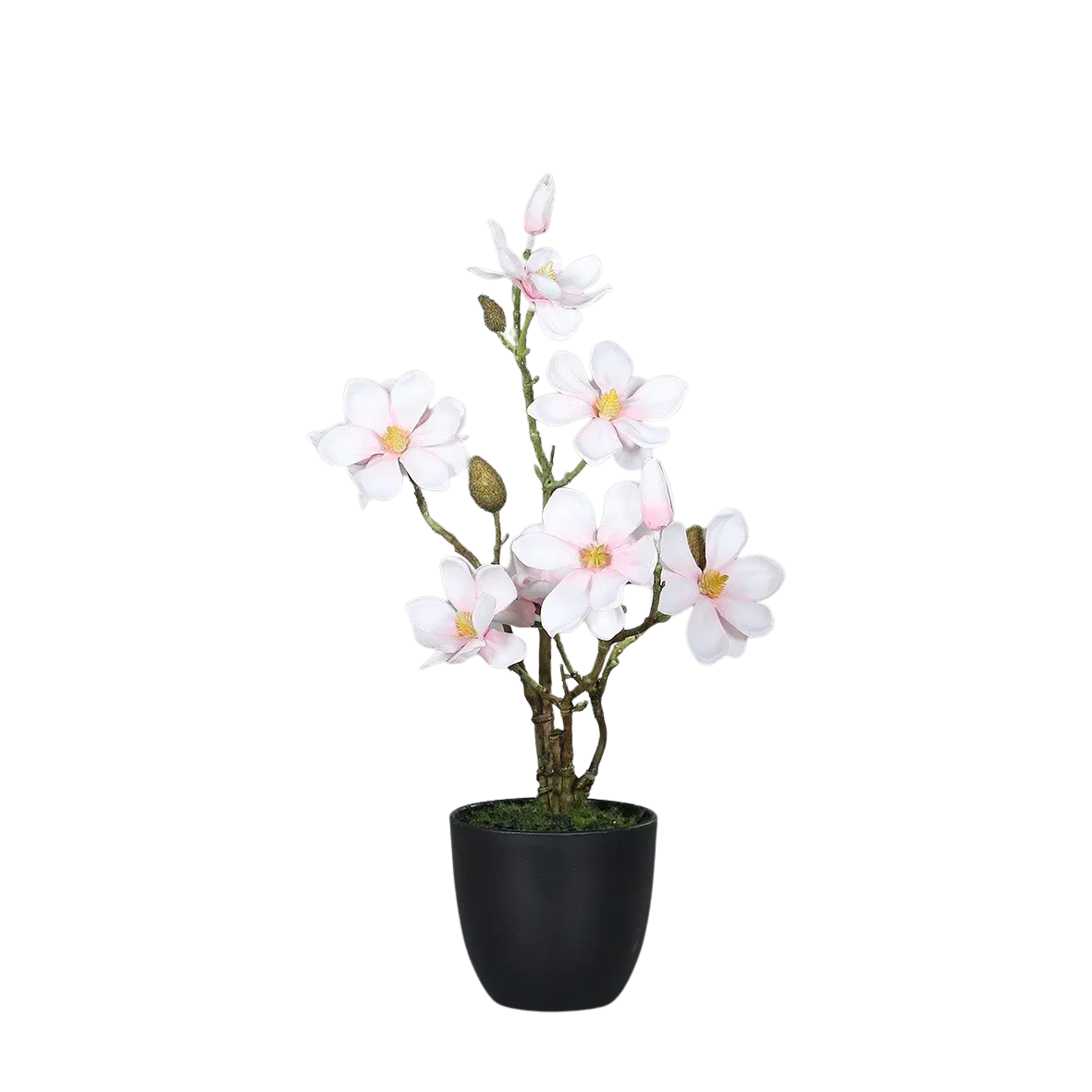 Künstliche Magnolie - Azzurra | 45 cm