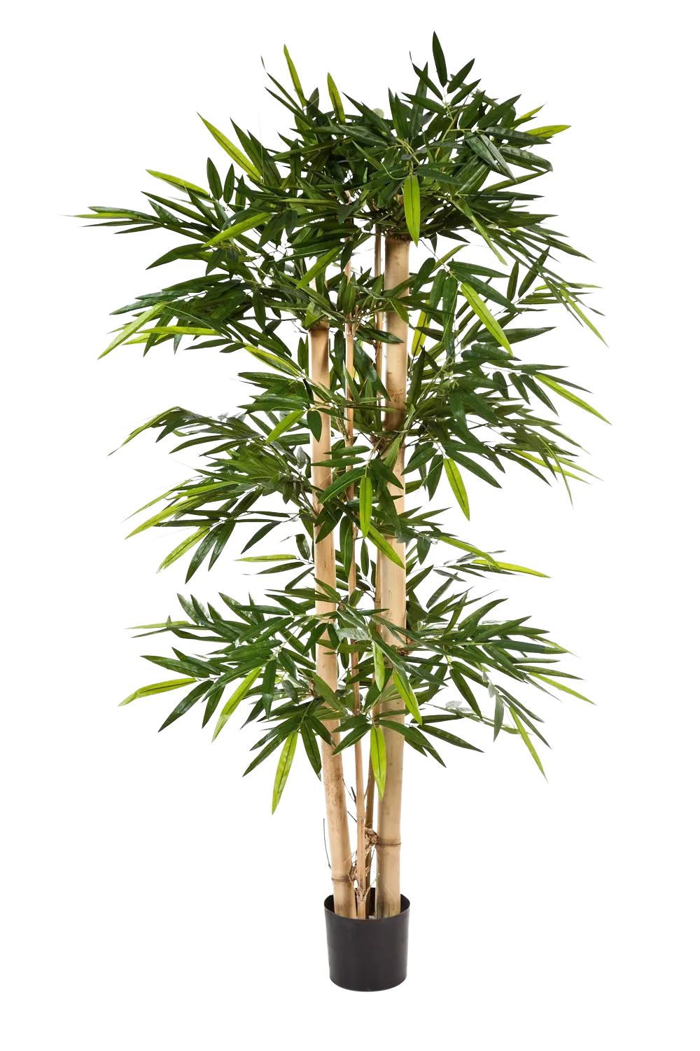 aplanta-35307N_aplantaKuenstlicher_Bambus__Martha__210_cm Künstlicher Bambus - Martha | 210 cm