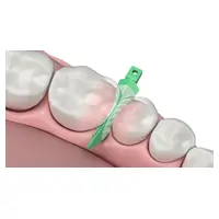 Garrison Dental Solutions Strata-G Keile grün SGGR Napa 100