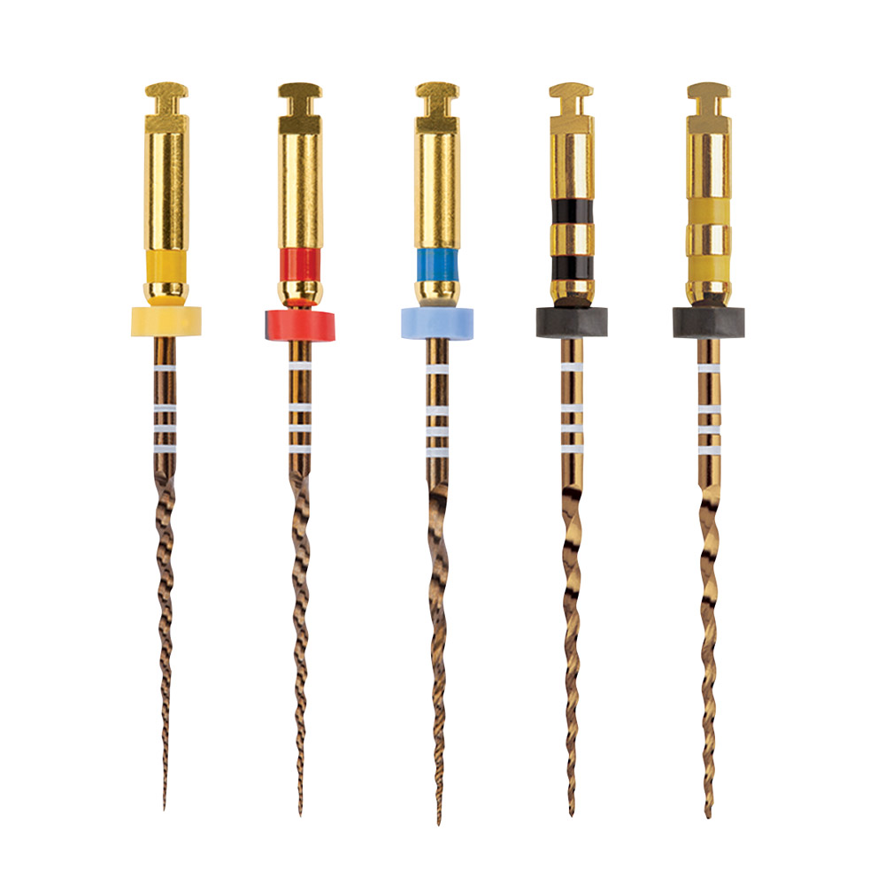 PROTAPER Gold F5 31mm 6St