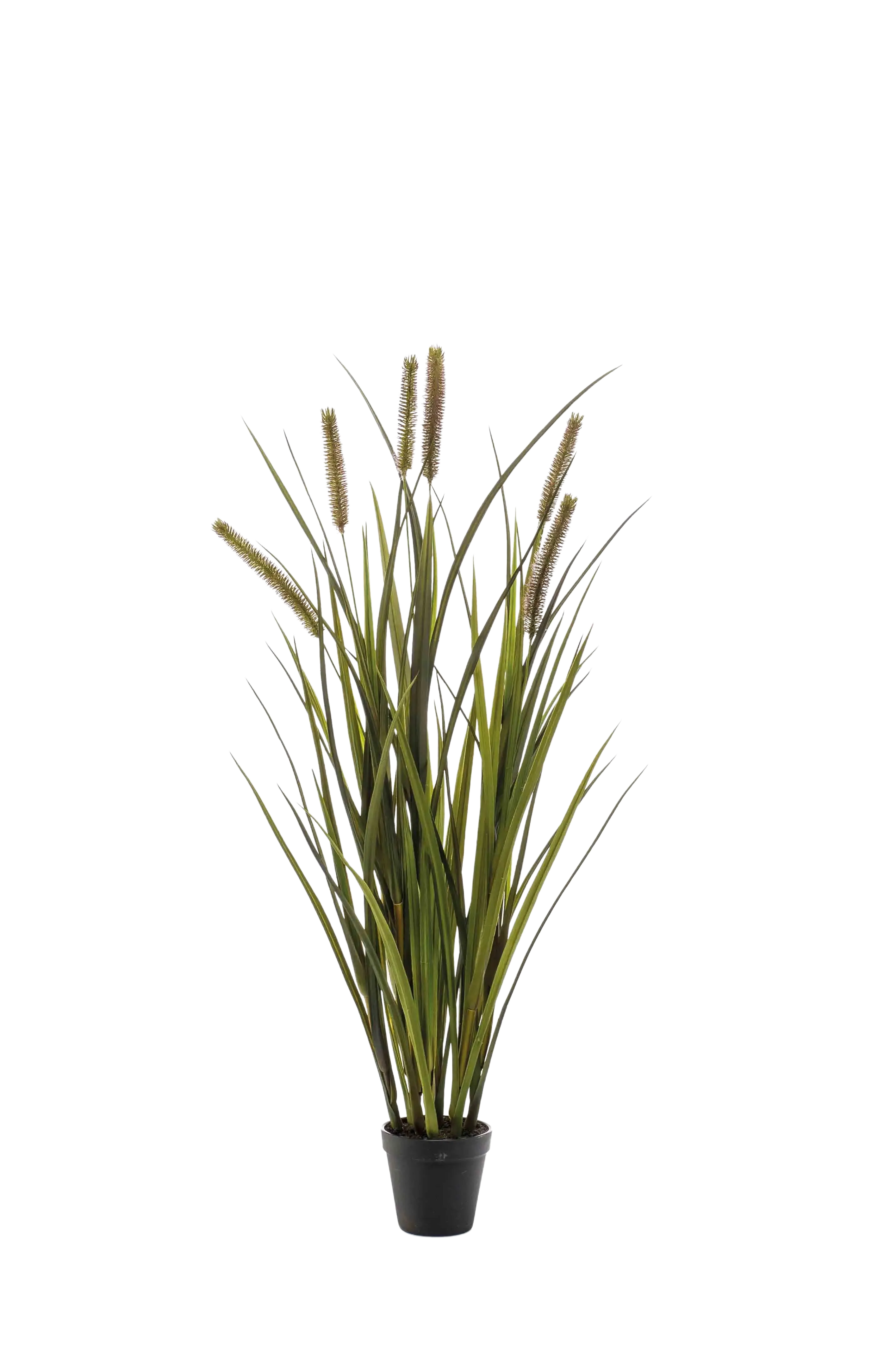 Künstliches Gras - Patrizia | 85 cm