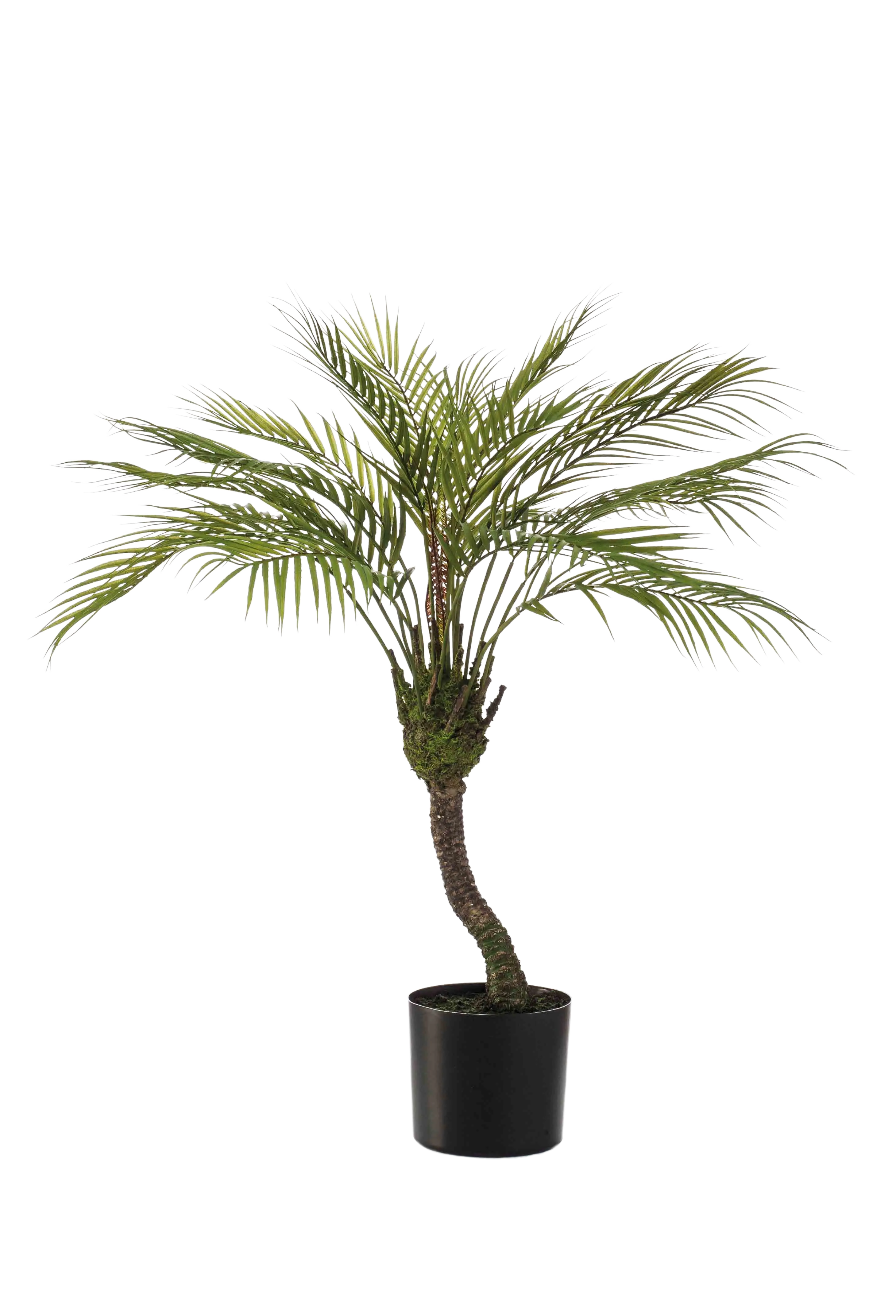 Künstliche Bergpalme - Nelly | 85 cm