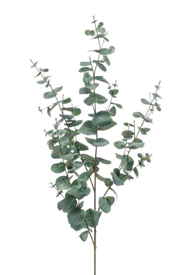 aplanta-422069_aplantaKuenstlicher_Eukalyptus_Zweig__Coca__115_cm