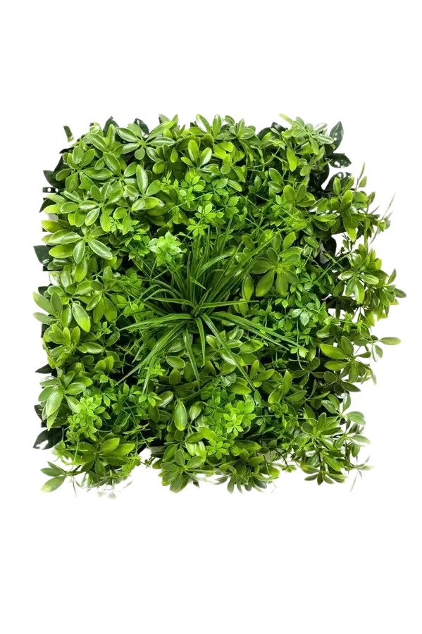 Künstliche Schefflera Matte - Malte | 50x50 cm