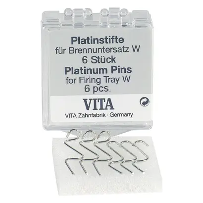 VITA Platinstifte - Packung 6 Stück