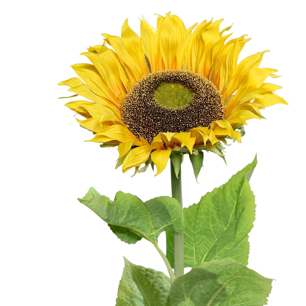Künstliche Sonnenblume - Sunny | 134 cm, Real Touch