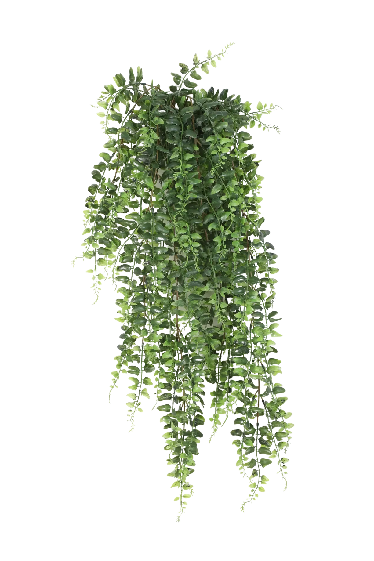 aplanta-1400N_aplantaKuenstlicher_Schwertfarn__Elisabeth__75_cm Künstlicher Schwertfarn - Elisabeth | 75 cm