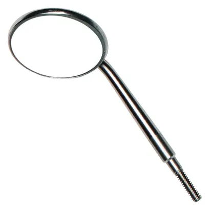 Zirc Company Edelstahl-Spiegelansatz Gr.5 24mm Pa 12