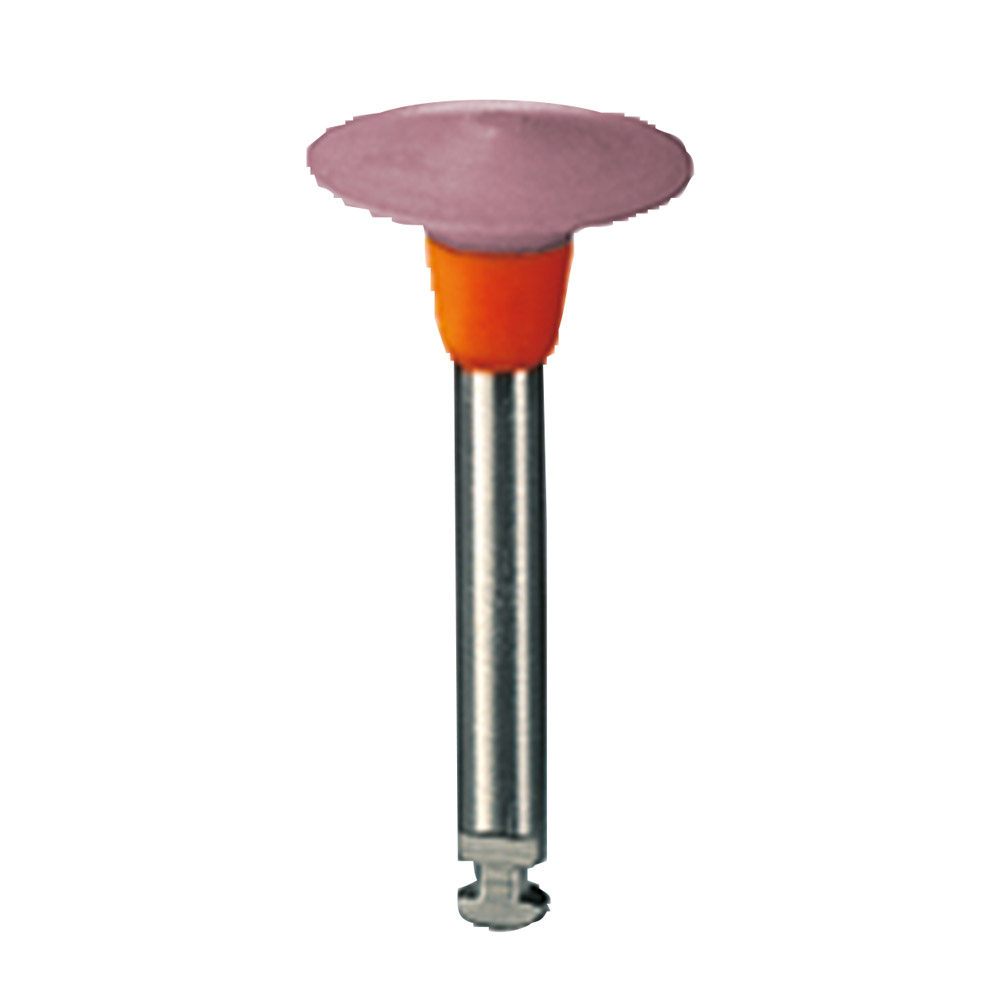 Diamant Polierer 9746 F 100 Wst 2St