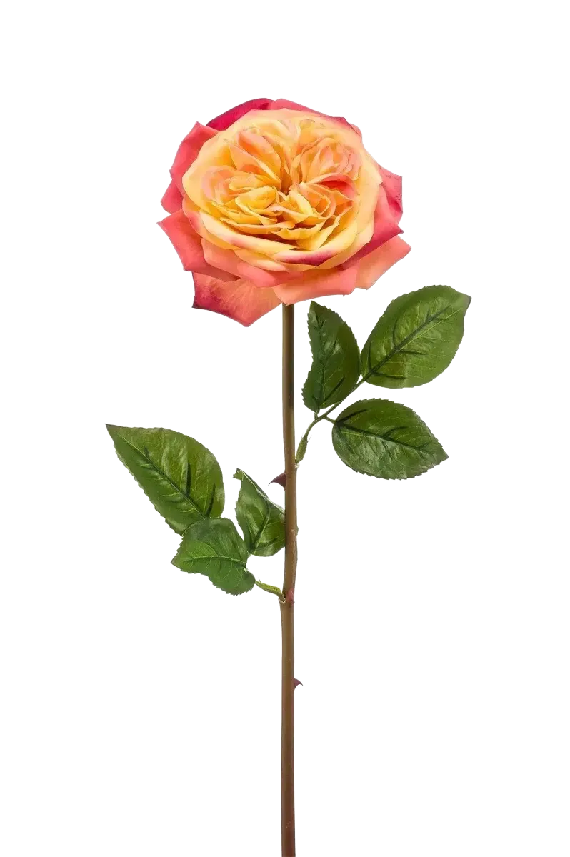 Künstliche Rose - Ginny | 60 cm