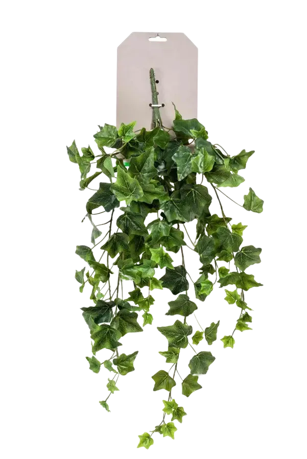 Künstliche Hänge-Efeu - Richard | 70 cm