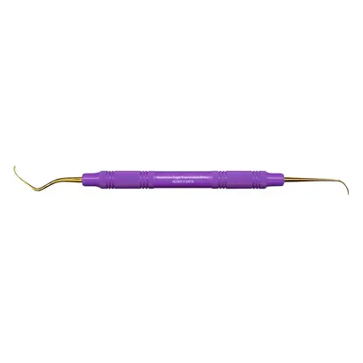 American Eagle Instruments Inc. AE XP Scaler Boge 513 Kunststoff St