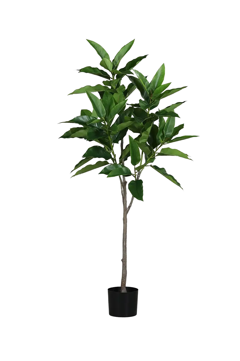 Künstlicher Champaka - Casandra | 150 cm, im Topf