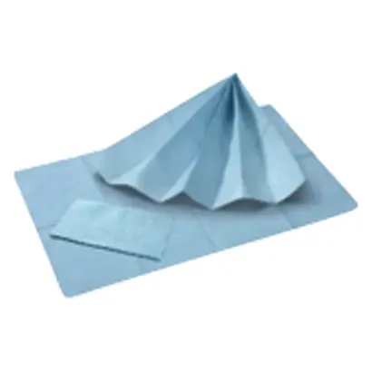 Akzenta International SA TOP SAFE Patientenservietten 2-lagig 33x45cm ice blue Ktn 10x50