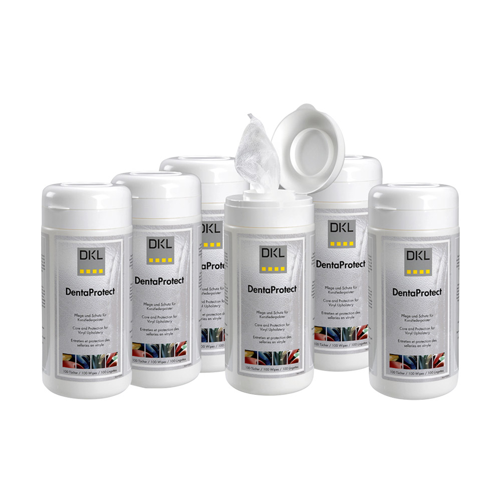 GX209793_DentaProtectSet_Tuchspender_6St_Krt DentaProtect-Set Tuchspender 6St Krt