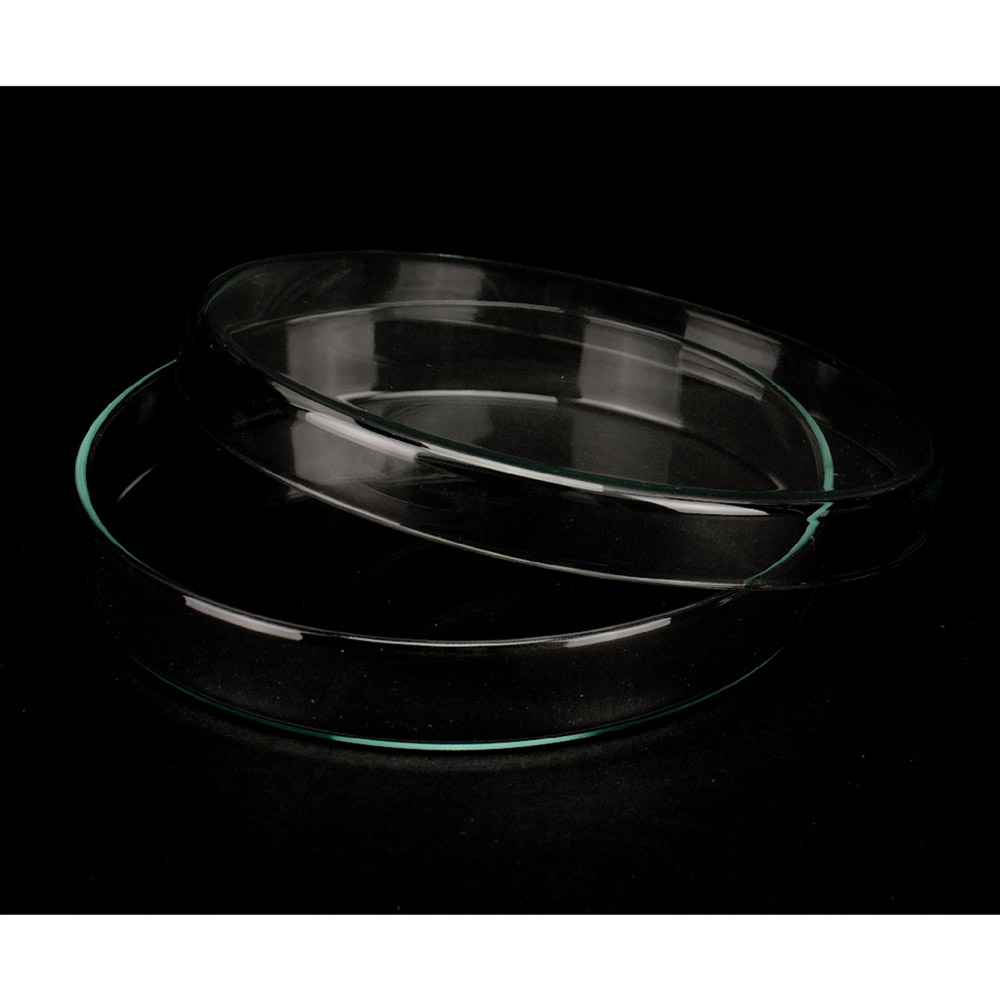 Petri Schale m.Deckel 15x2,5cm St