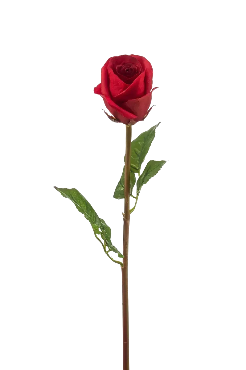 Künstliche Rose - Carrie | 58 cm