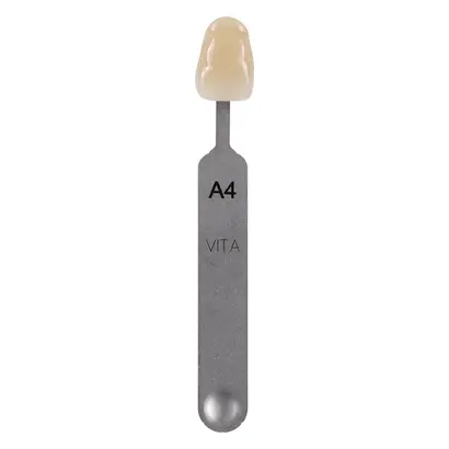 VITA Zahnfabrik H. Rauter GmbH & Co. KG VITA classical Farbmusterstäbchen A4 St