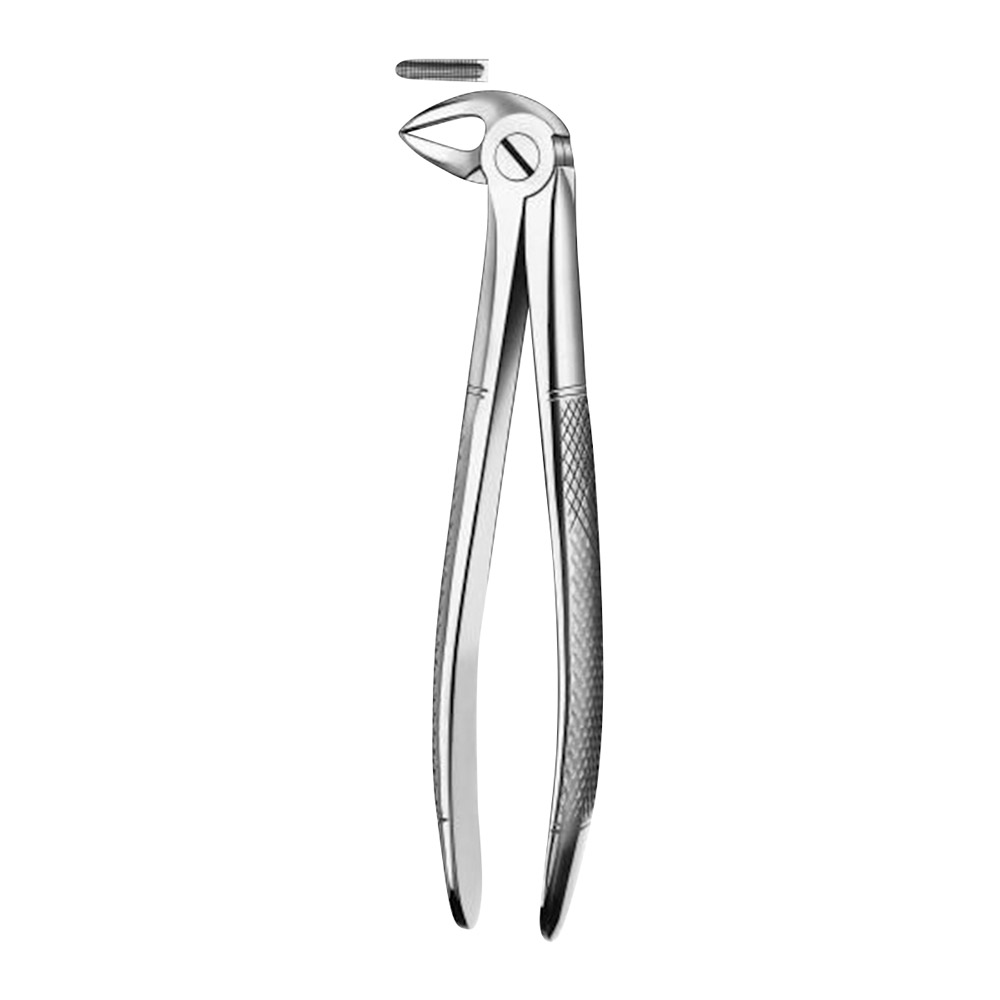 Zahnzange 33A Handform UK Wurzeln St