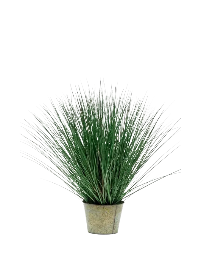 aplanta-418846_aplantaKuenstliches_Gras__Irene__80_cm Künstliches Gras - Irene | 80 cm