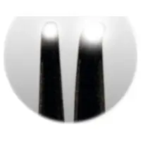 AdDent Inc. Microlux 2 Transilluminator m.2mm Lichtleiter St