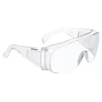 Euronda Monoart® Schutzbrille Light - Stück